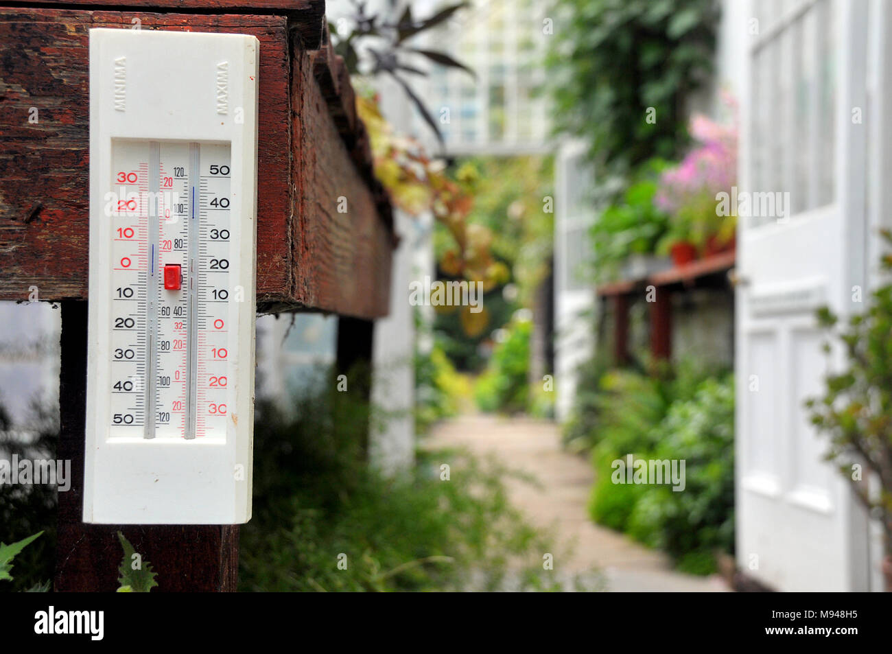 Une serre thermomètre indique la température à l'intérieur d'une grande serre jardin. Banque D'Images