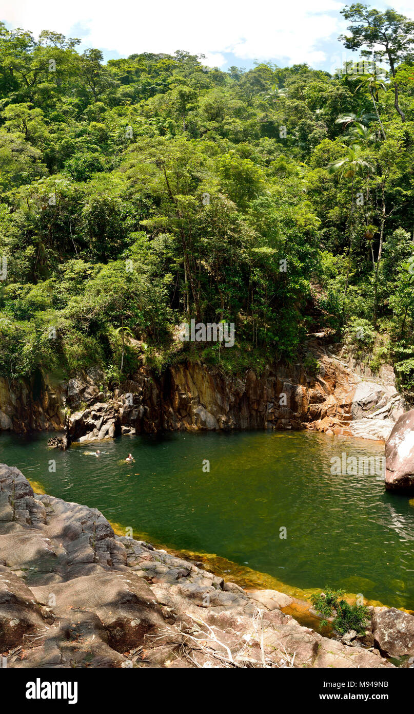 Avis de natation trous à la roue de feu tombe dans le Parc National Eungella dans le Queensland, en Australie, avec des chiffres de population. Banque D'Images