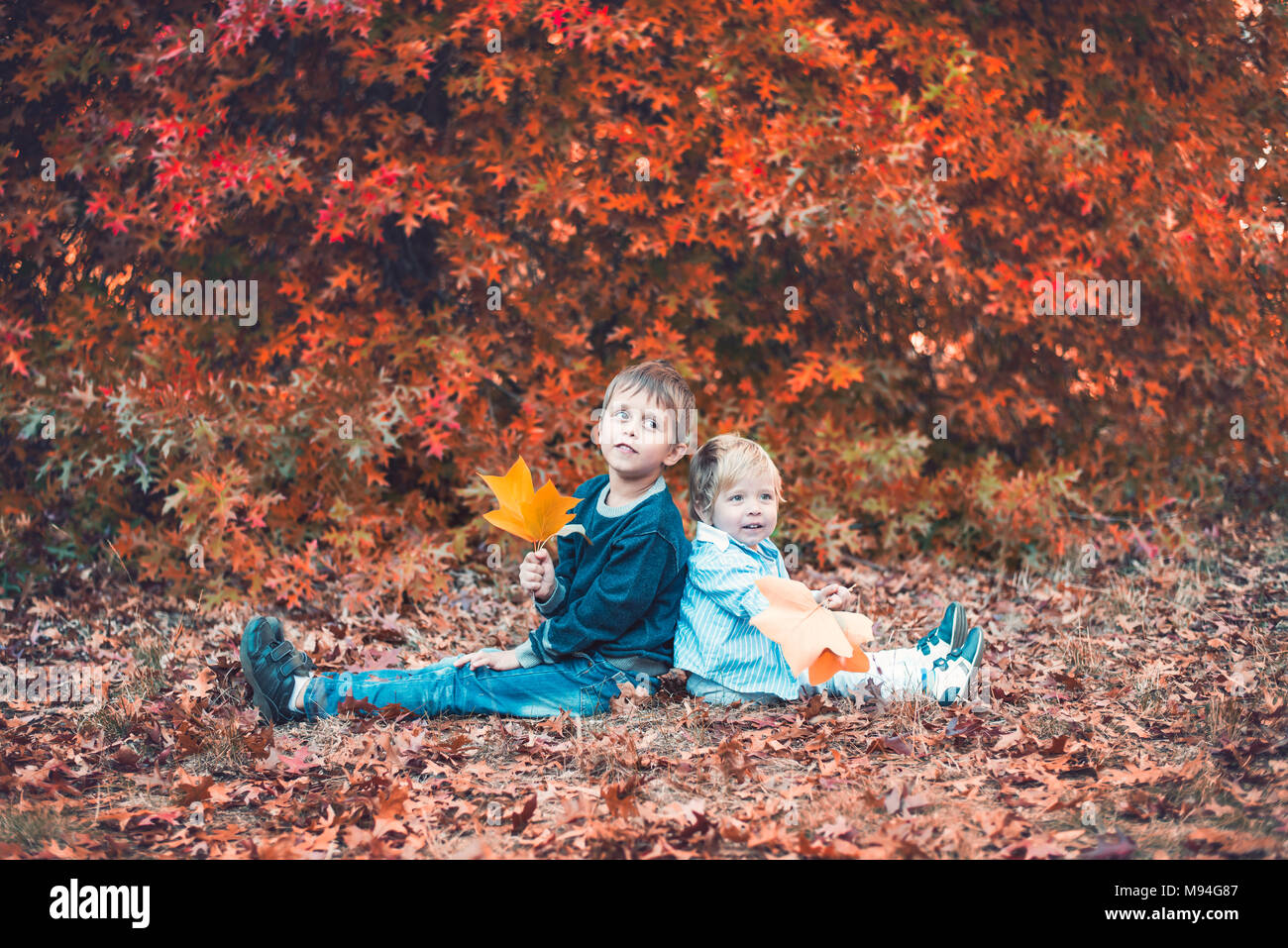 Deux enfants souriant assis sur le sol et la tenue de feuilles d'érable en automne park Banque D'Images