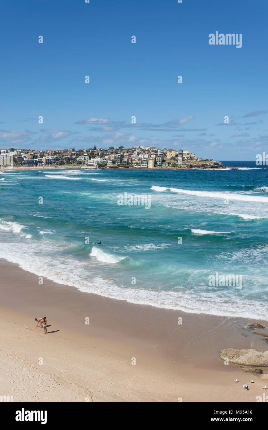 Vue sur la plage, Bondi Beach, Sydney, New South Wales, Australia Banque D'Images