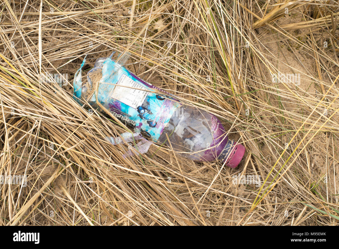 Une bouteille en plastique jetée ou jeté Banque D'Images