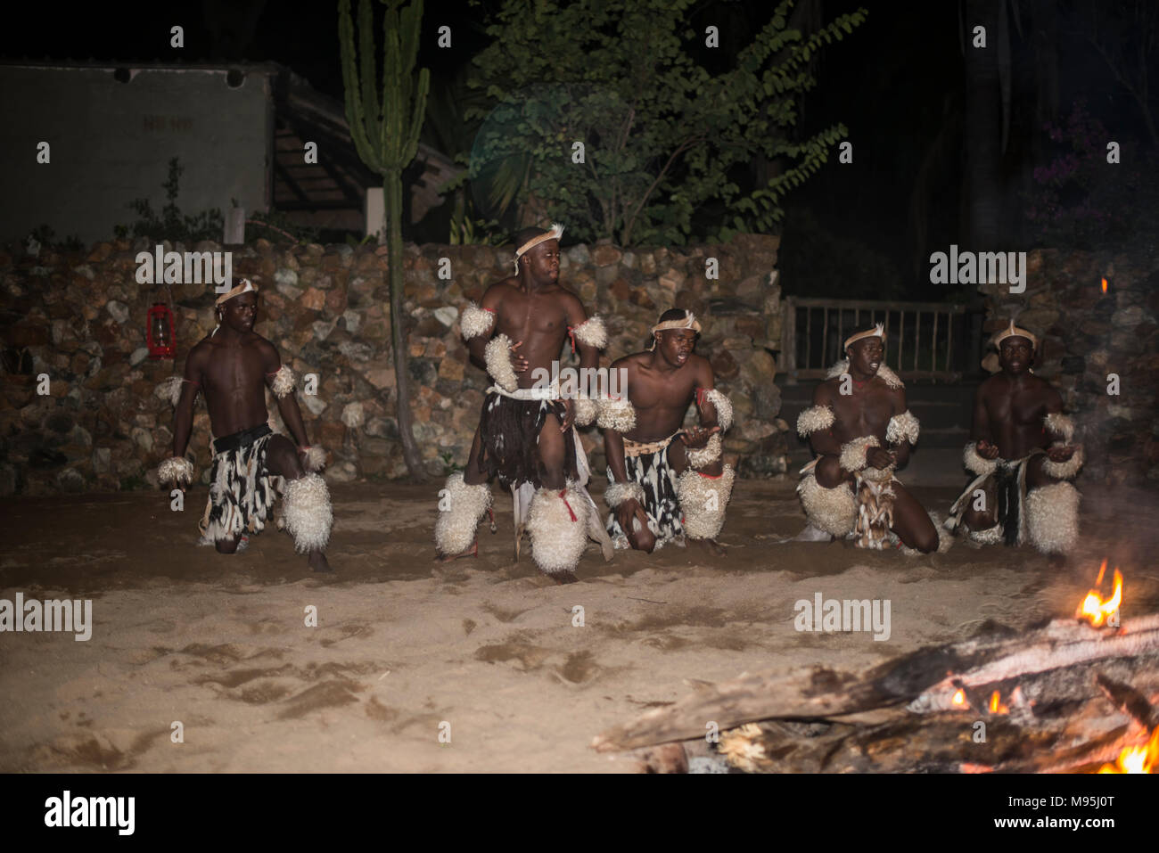African man dancing en costumes traditionnels pour les touristes en Afrique du Sud lodges Banque D'Images