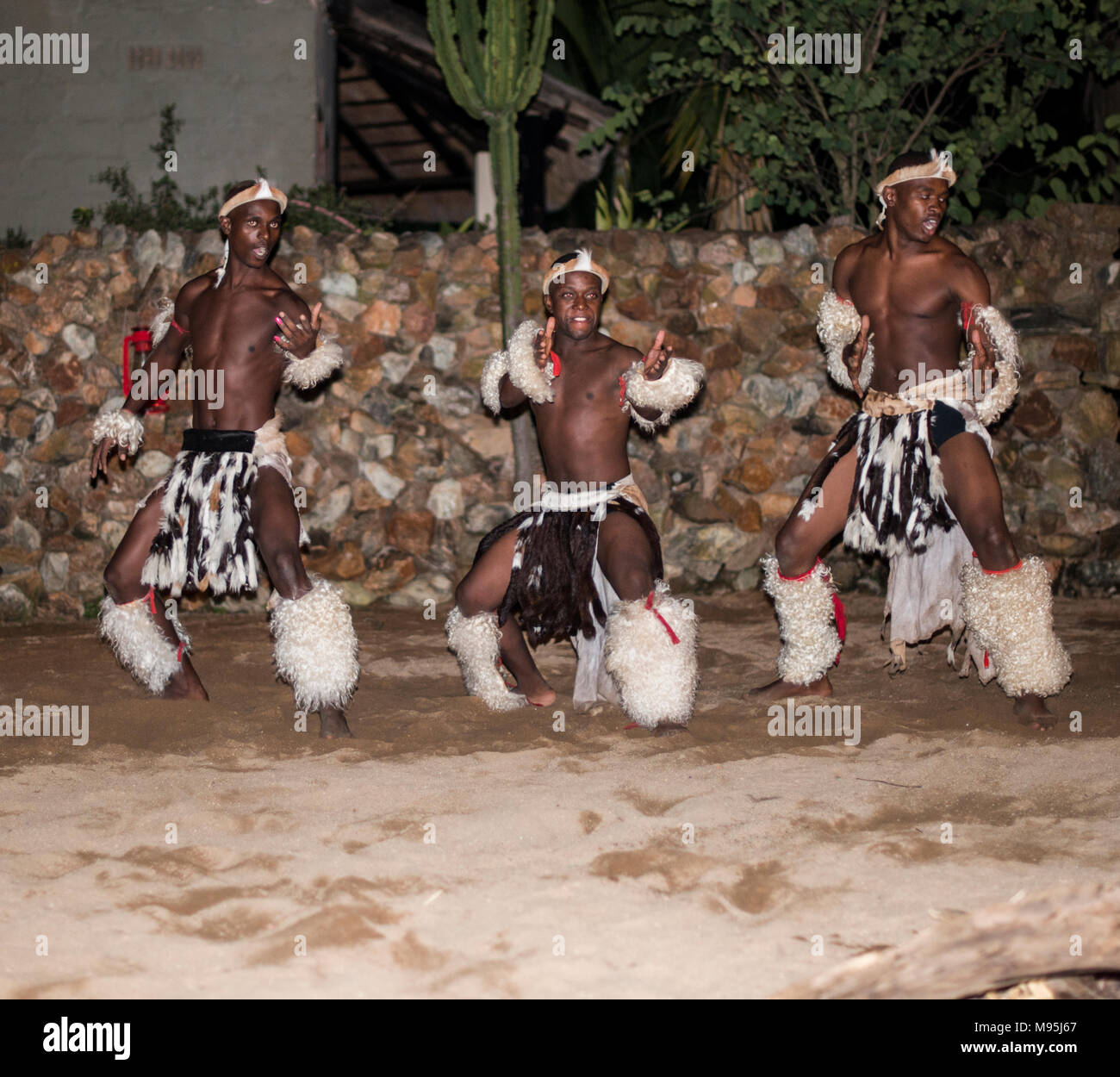 Homme africaafrican la danse en costumes traditionnels pour les touristes en Afrique du Sud lodges Banque D'Images