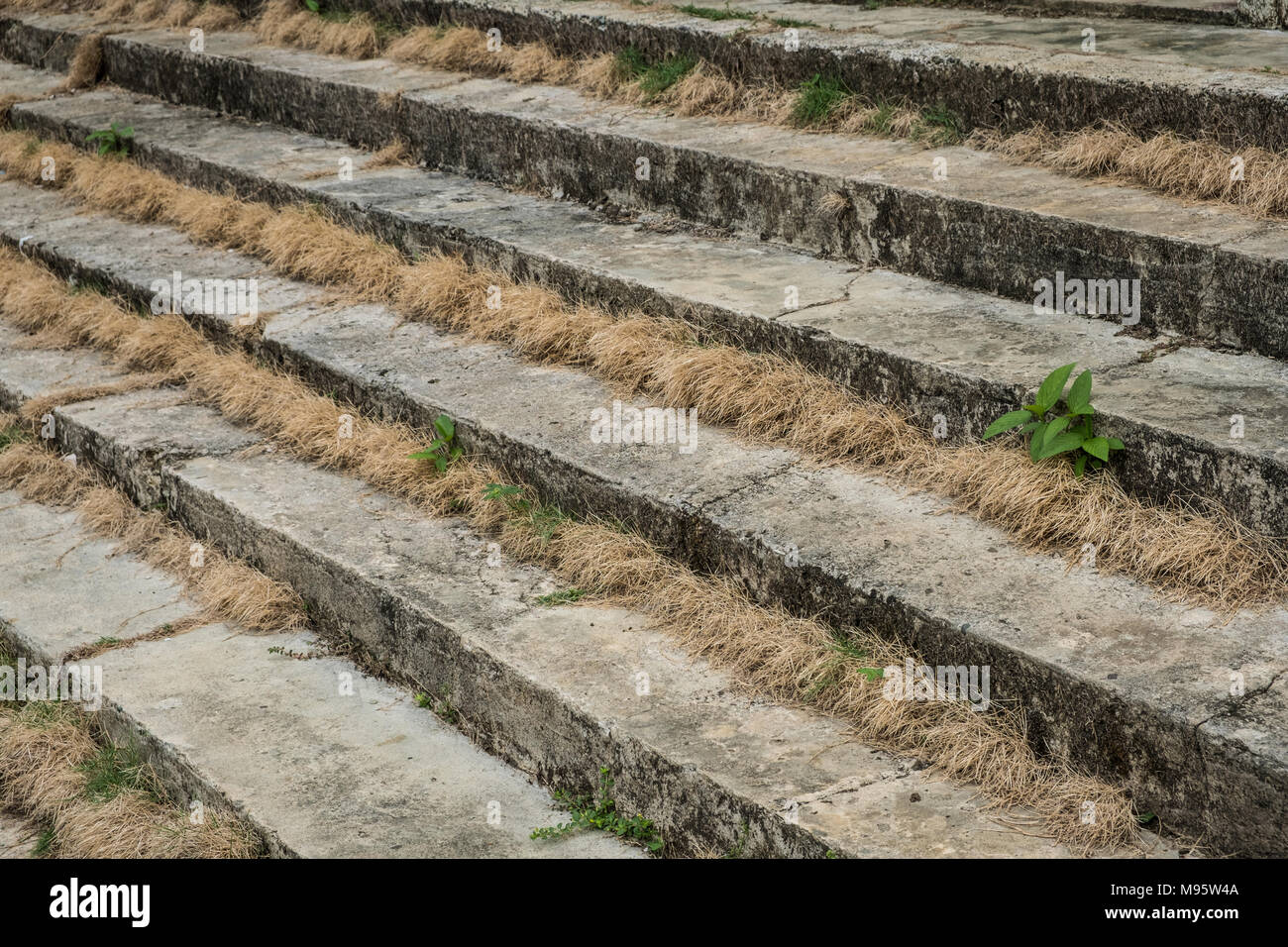 Des marches en pierre, couvert escaliers escalier ancien - gros plan - Banque D'Images