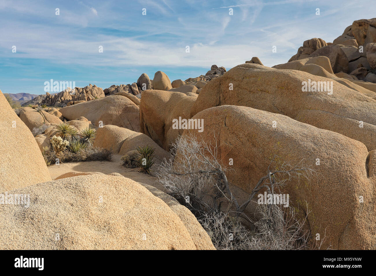 Les roches de Joshua Tree Banque D'Images