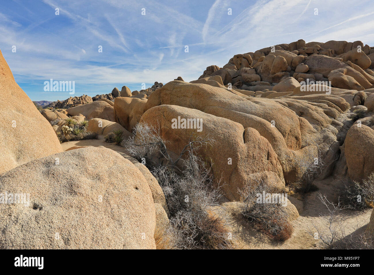 Des formations de roche de Joshua Tree Against Blue Sky Banque D'Images