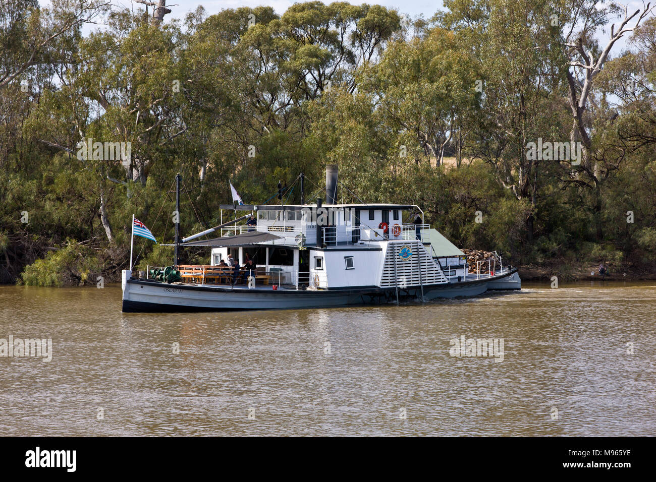 Bateau à aubes Oscar 'W' et tendre la voile en aval sur le fleuve Murray, près de Curlwaa. Oscar PS W est basé à partir du port de Goolwa, SA. Banque D'Images