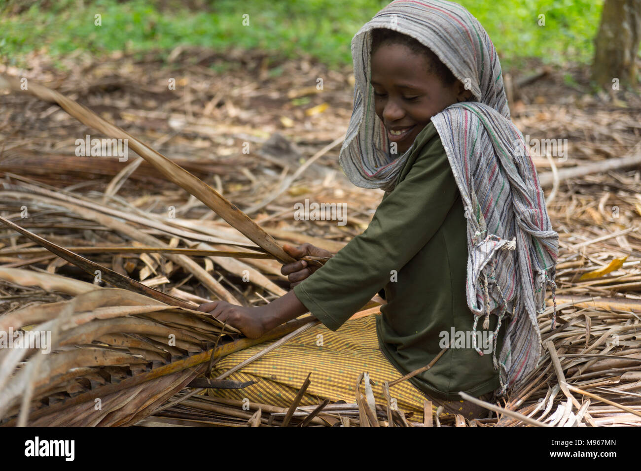 Timide jeune fille africaine décapage des feuilles de palmiers séchées pour en faire des balais. Banque D'Images