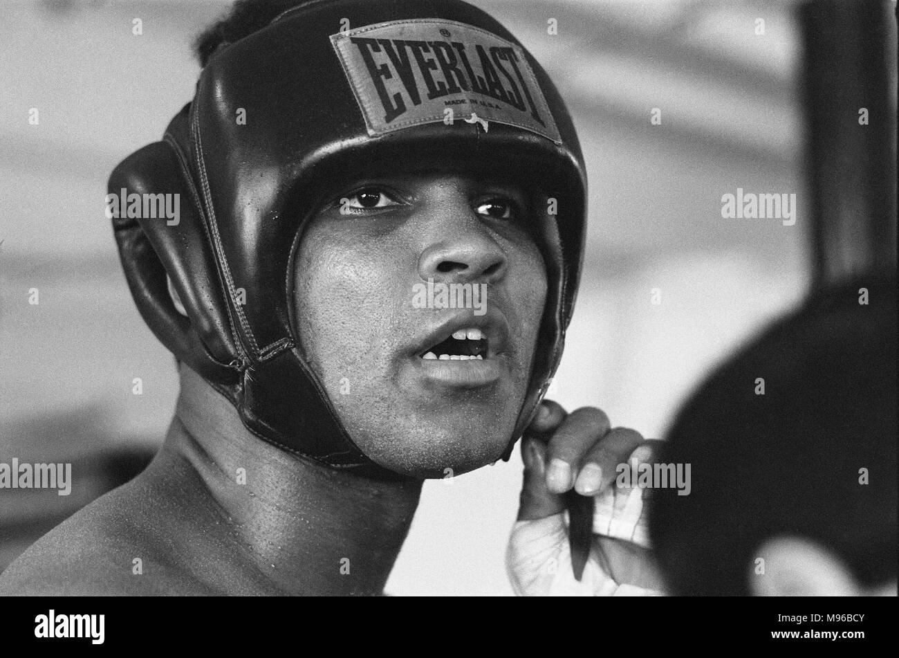 La lutte du siècle (également connu sous le nom de Lutte) est le titre d'écrivains et d'historiens de la boxe ont donné à la championne de boxe opposant Joe Frazier (26-0, 23 KOs) et challenger Muhammad Ali (31-0, 25 KOs), tenue le 8 mars 1971, au Madison Square Garden de New York. Frazier a gagné dans 15 séries par décision unanime. C'était la première fois que deux boxeurs invaincus se sont battus pour le titre heavyweight. (Photo) Ali avec tête garde pendant une session d'entraînement avant son affrontement avec fumeurs Joe Frazier. 4 mars 1971 Banque D'Images