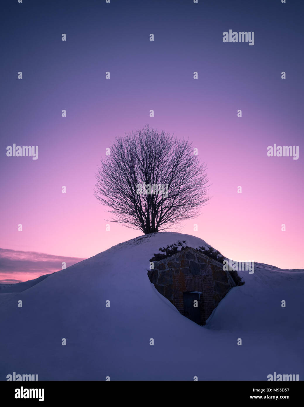 Paysage panoramique avec lonely tree contre purple sky à soirée d'hiver à Helsinki, Finlande Banque D'Images