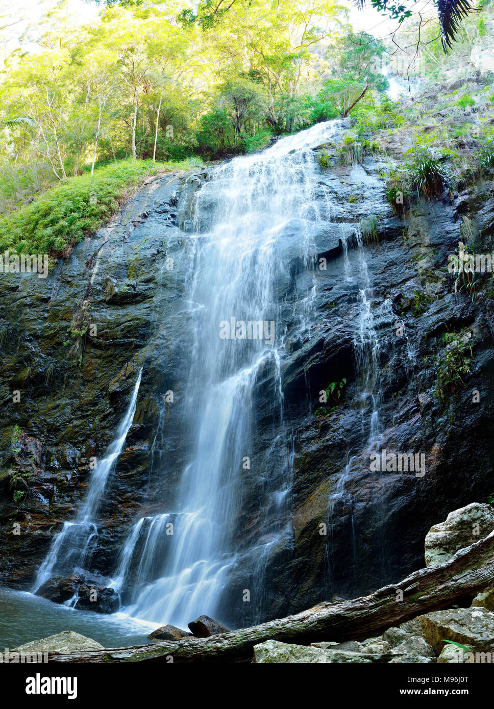 Dans Ballanjui Falls Parc National de Lamington, Queensland, Australie. Banque D'Images