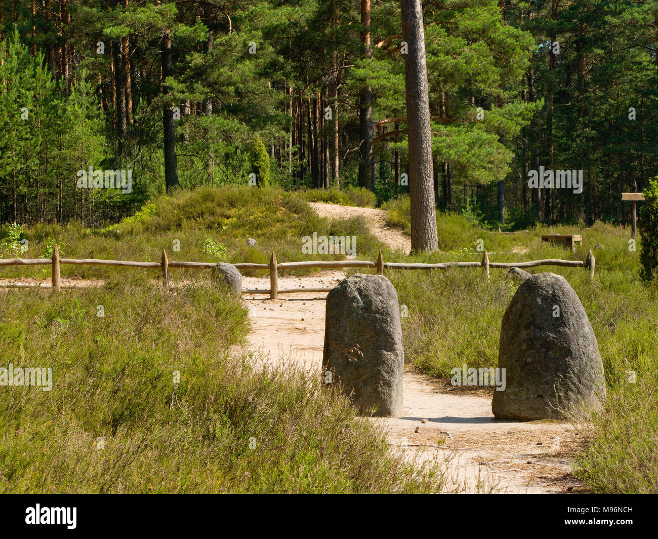 Ton "cercles" réserver. La culture de Wielbark cimetière (1ème siècle) de Goths et Gepids tribus. Odry près de Gdynia. Opole pinèdes. Province de Poméranie Banque D'Images
