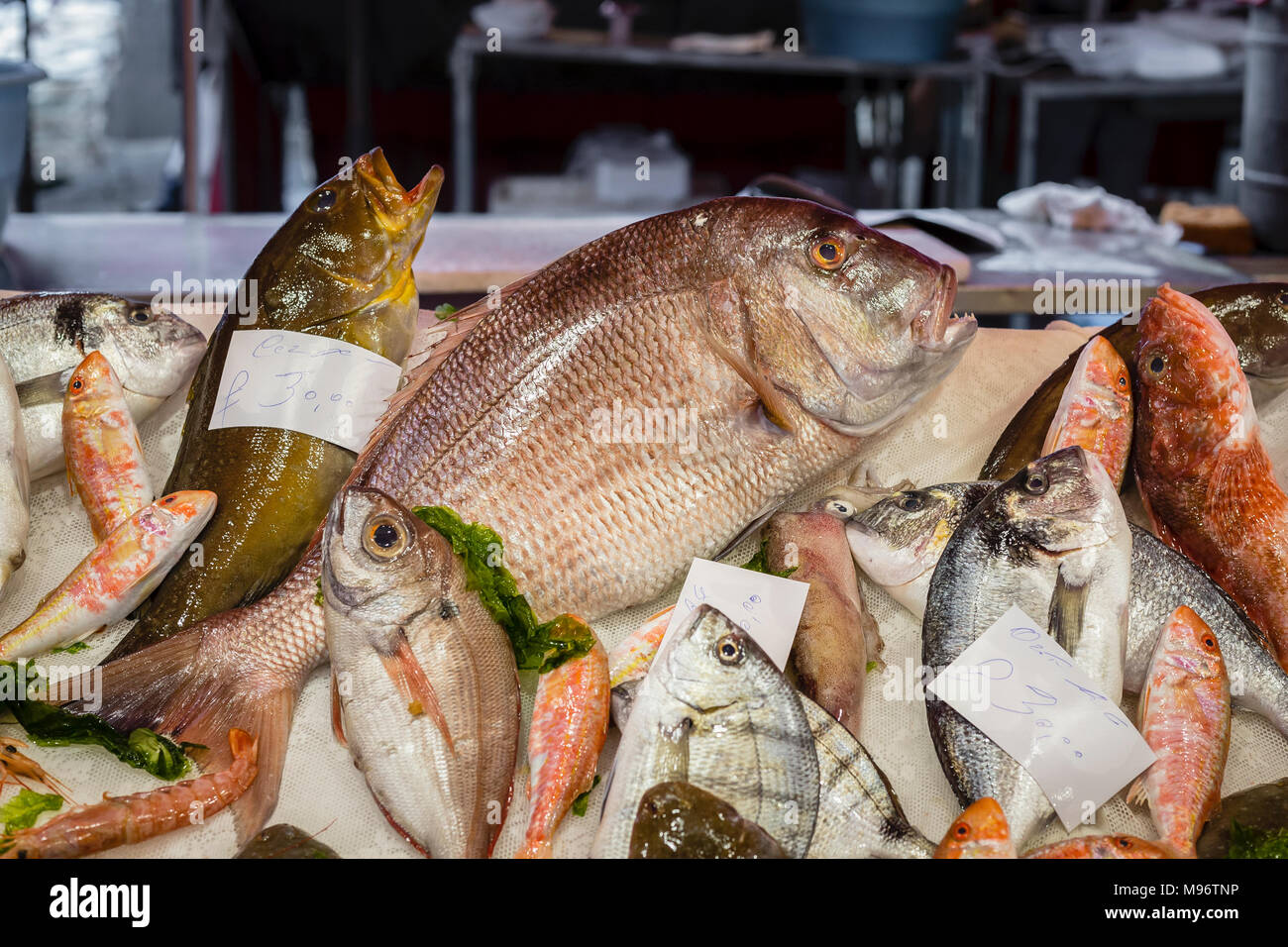 La Pescheria, marché aux poissons Catane, Sicile, Italie. Banque D'Images