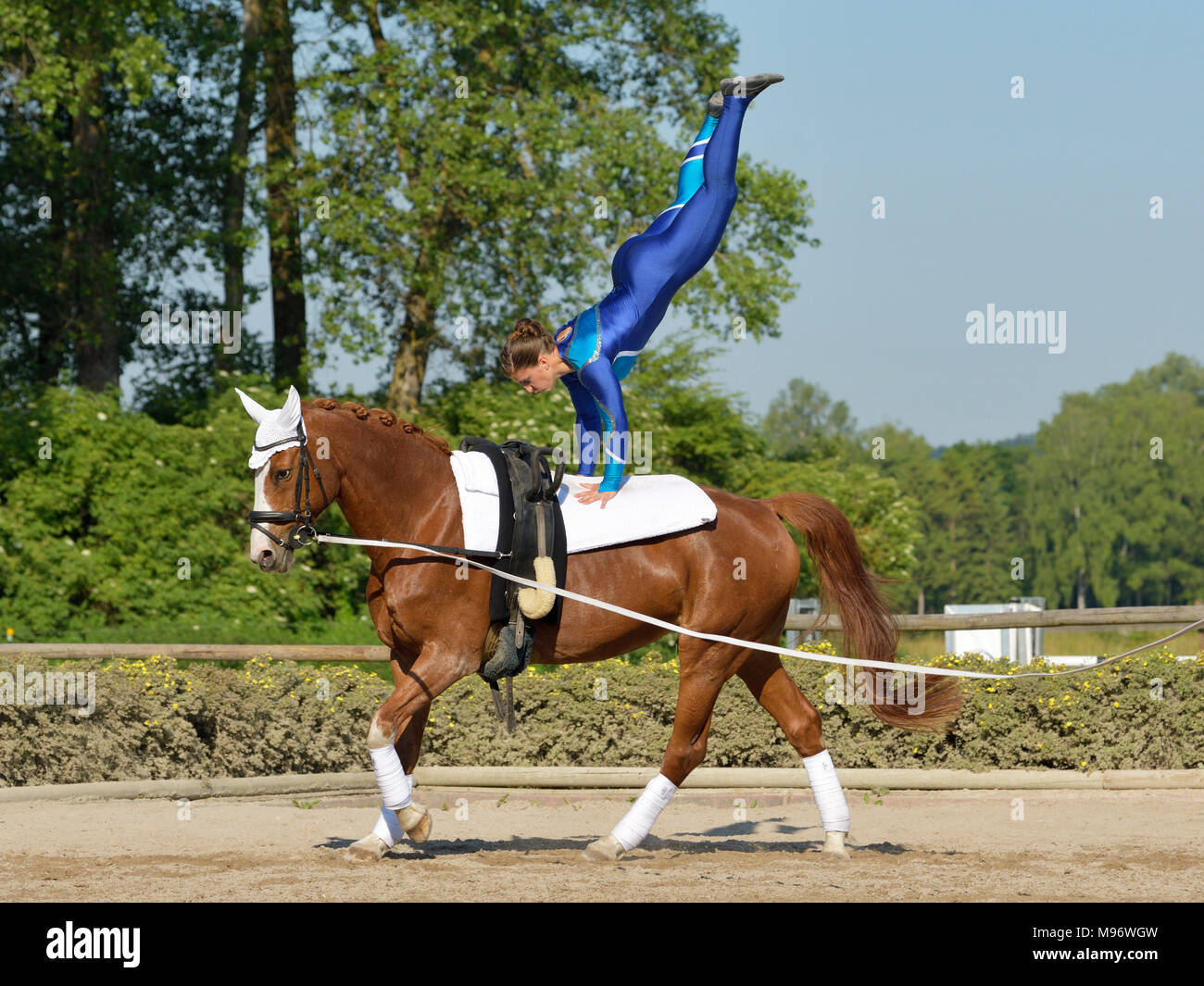 Vaulting Banque D'Images