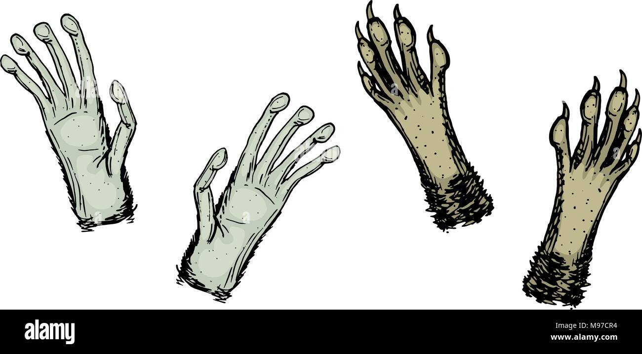 Pattes d'animaux ou d'empreinte écologique et de la faune. mains de singe et le raton laveur. Animaux domestiques ou agricoles ou domestiques. Des traces de mammifères. Illustration de Vecteur