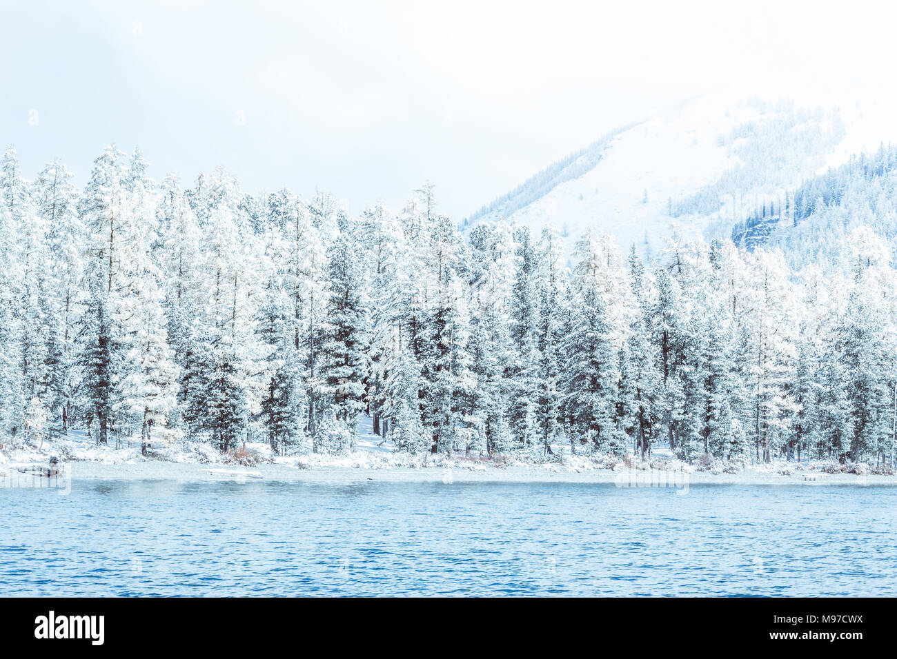 Lac de montagne d'hiver avec la neige des pins sur la rive. Par temps froid, brouillard sur le lac d'hiver, une forte baisse de température. Un certain nombre de Banque D'Images