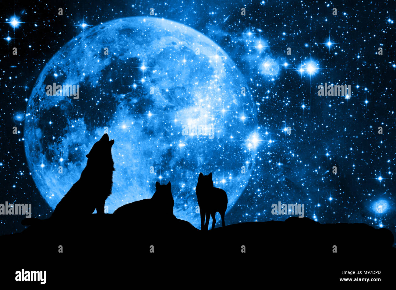 Pack Loups En Silhouette Contre Un Bleu Ciel étoilé Avec La