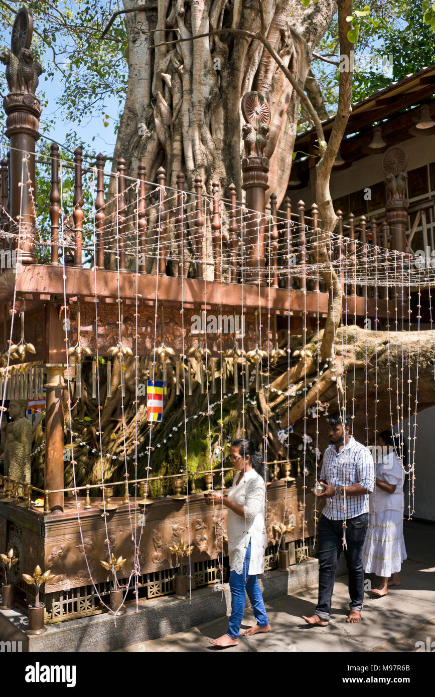 Vue verticale de fidèles à l'Bodhiya dans le Temple Gangaramaya à Colombo, Sri Lanka. Banque D'Images