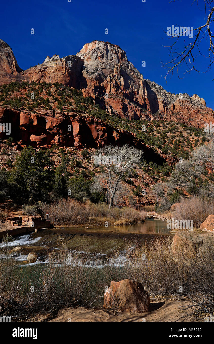 Zion National Park, Utah, États-Unis d'Amérique Banque D'Images