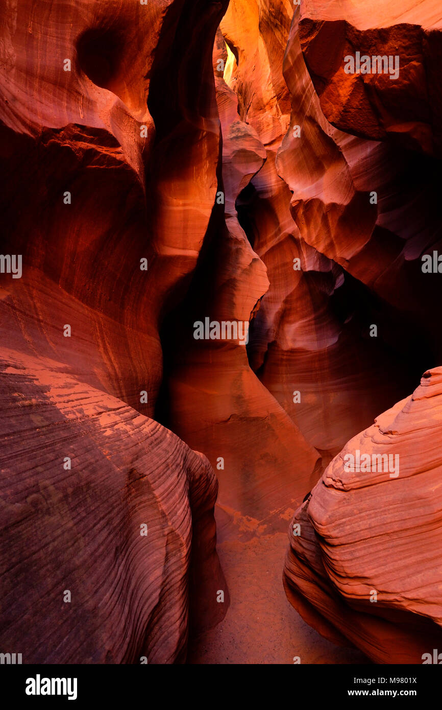 Emplacement Secret Canyon Page,Arizona,Nord,USA Banque D'Images