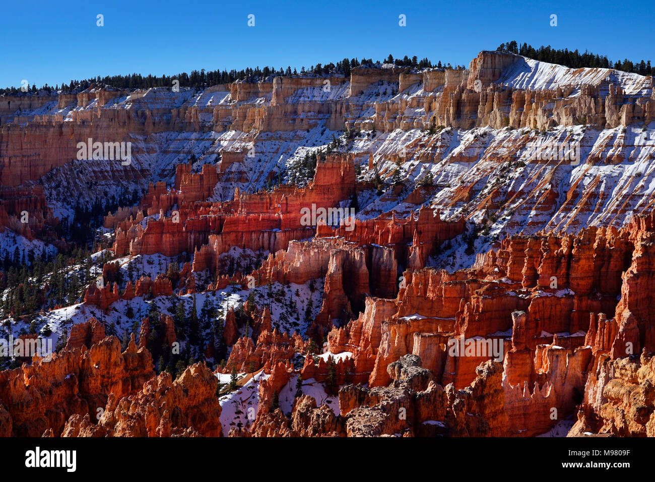 Bryce Canyon National Park, Utah, États-Unis d'Amérique Banque D'Images