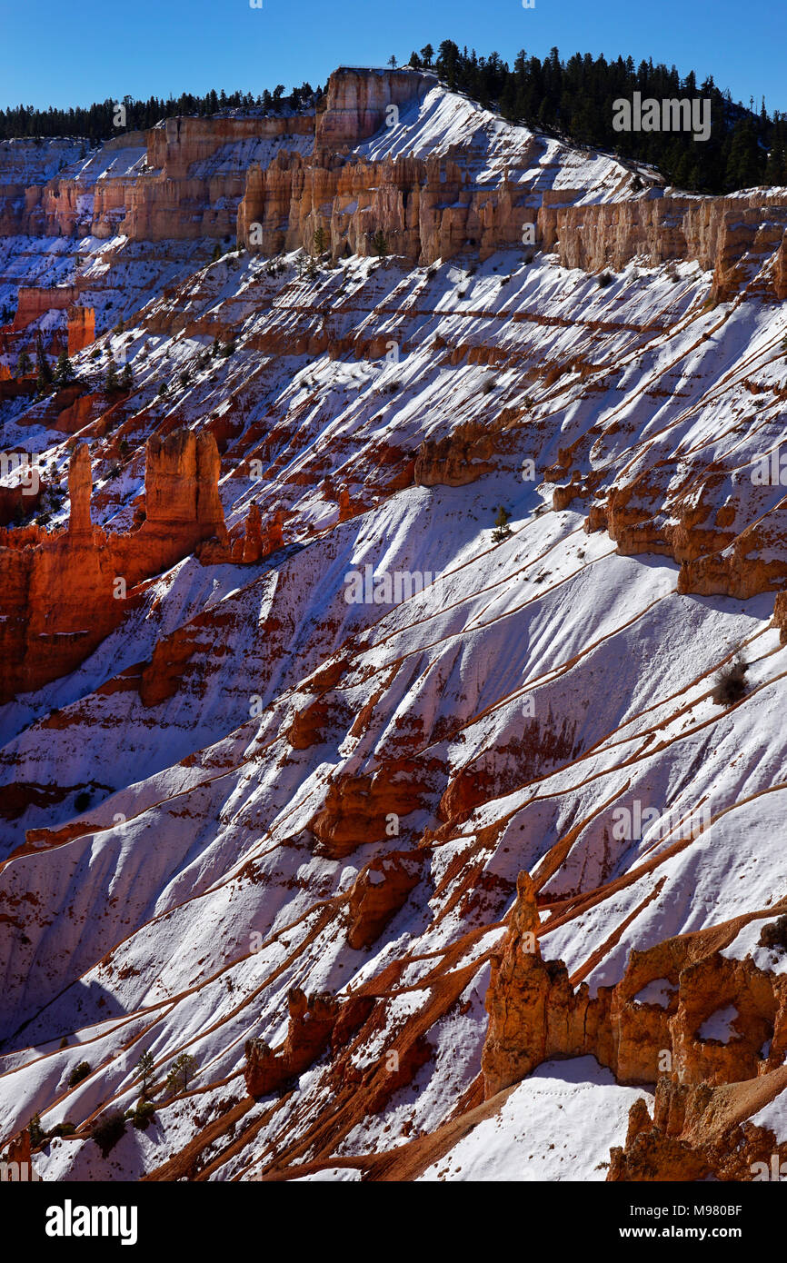 Bryce Canyon National Park, Utah, États-Unis d'Amérique Banque D'Images