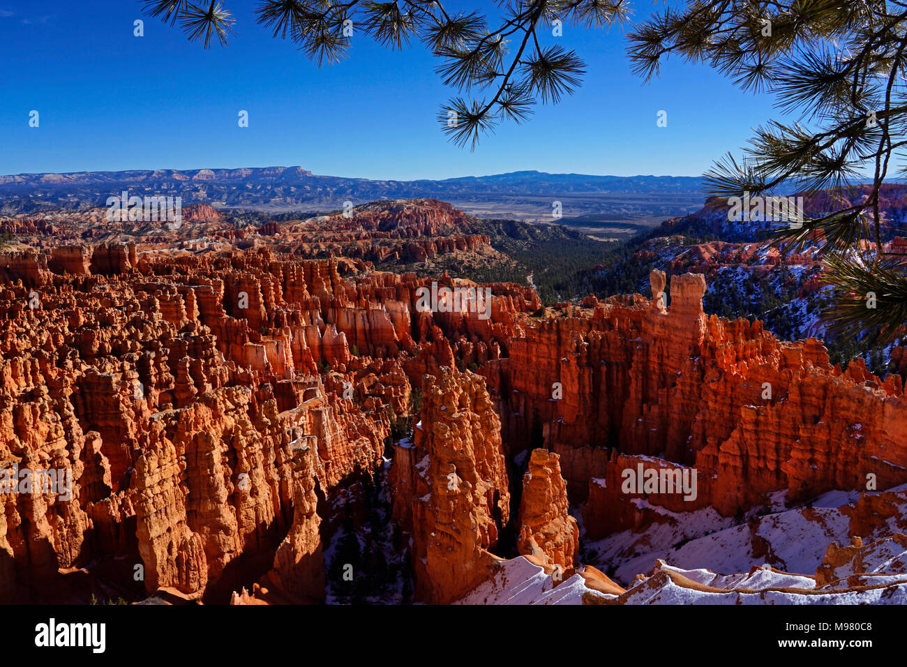 Le Parc National de Bryce Canyon dans l'Utah,hiver,Amérique du Nord Banque D'Images
