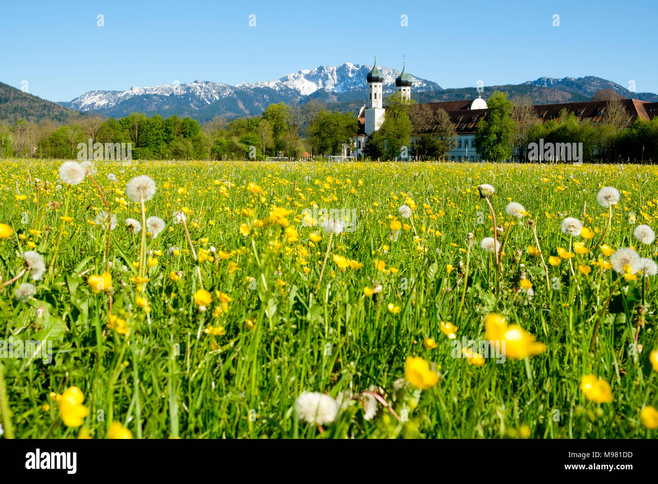 Kloster Benediktbeuern, hinten Benediktenwand Oberbayern, Bayern, Deutschland, Banque D'Images