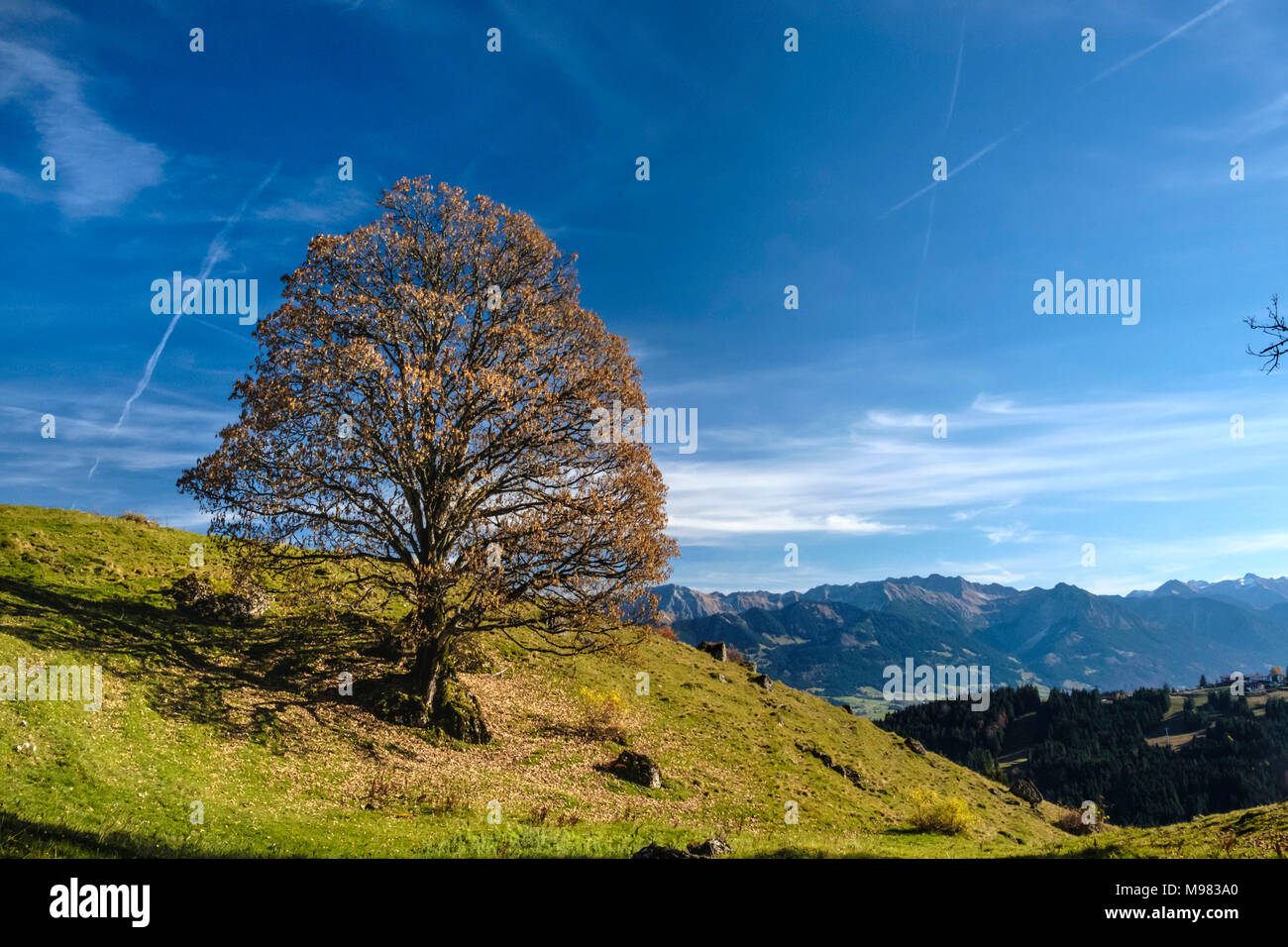 Germany, Bavaria, réserve naturelle des Alpes Haute Allgaeu Banque D'Images