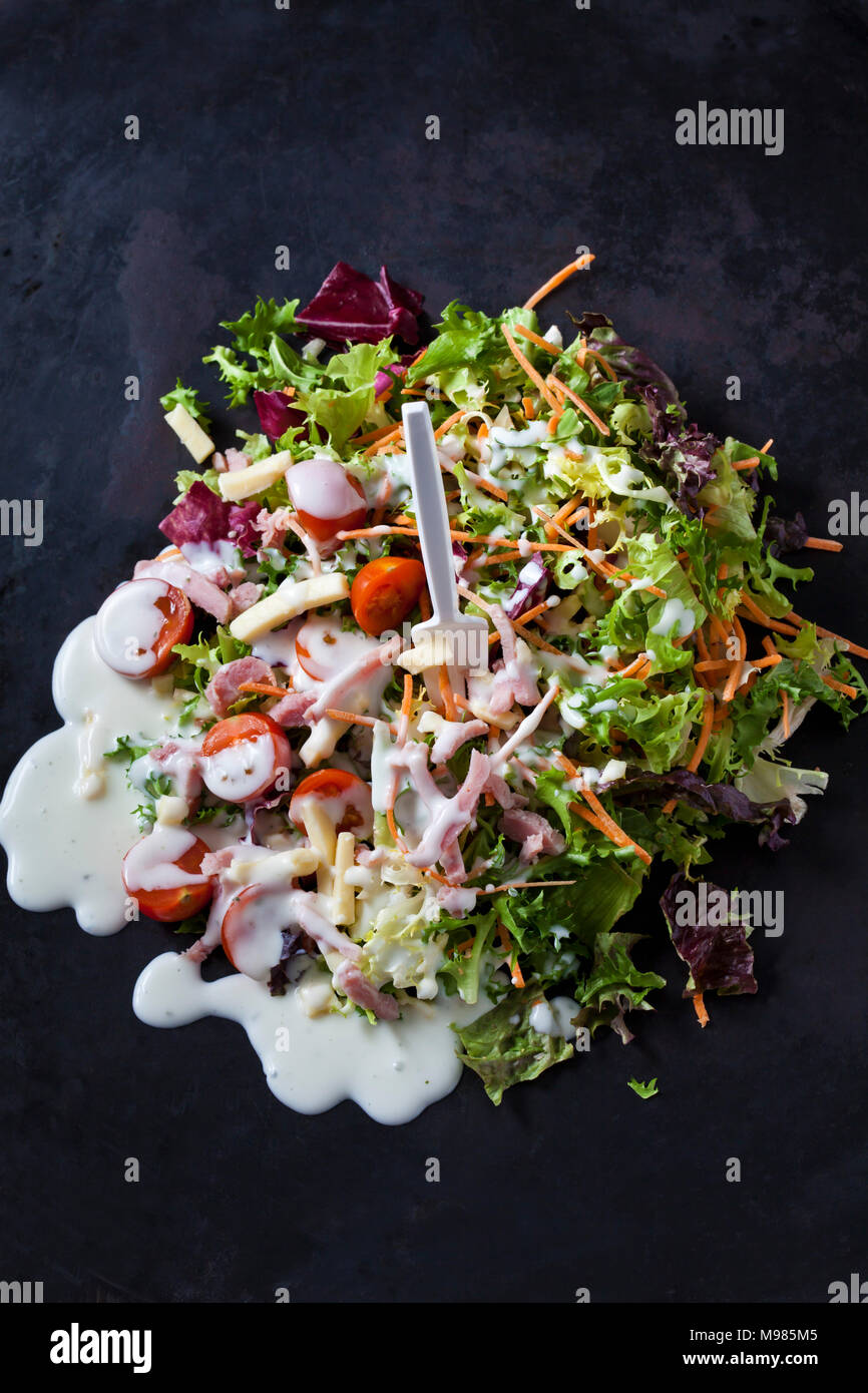 Salade composée de laitue, chicorée, carottes, tomates cerises, radis rouges et sauce yogourt naturel Banque D'Images