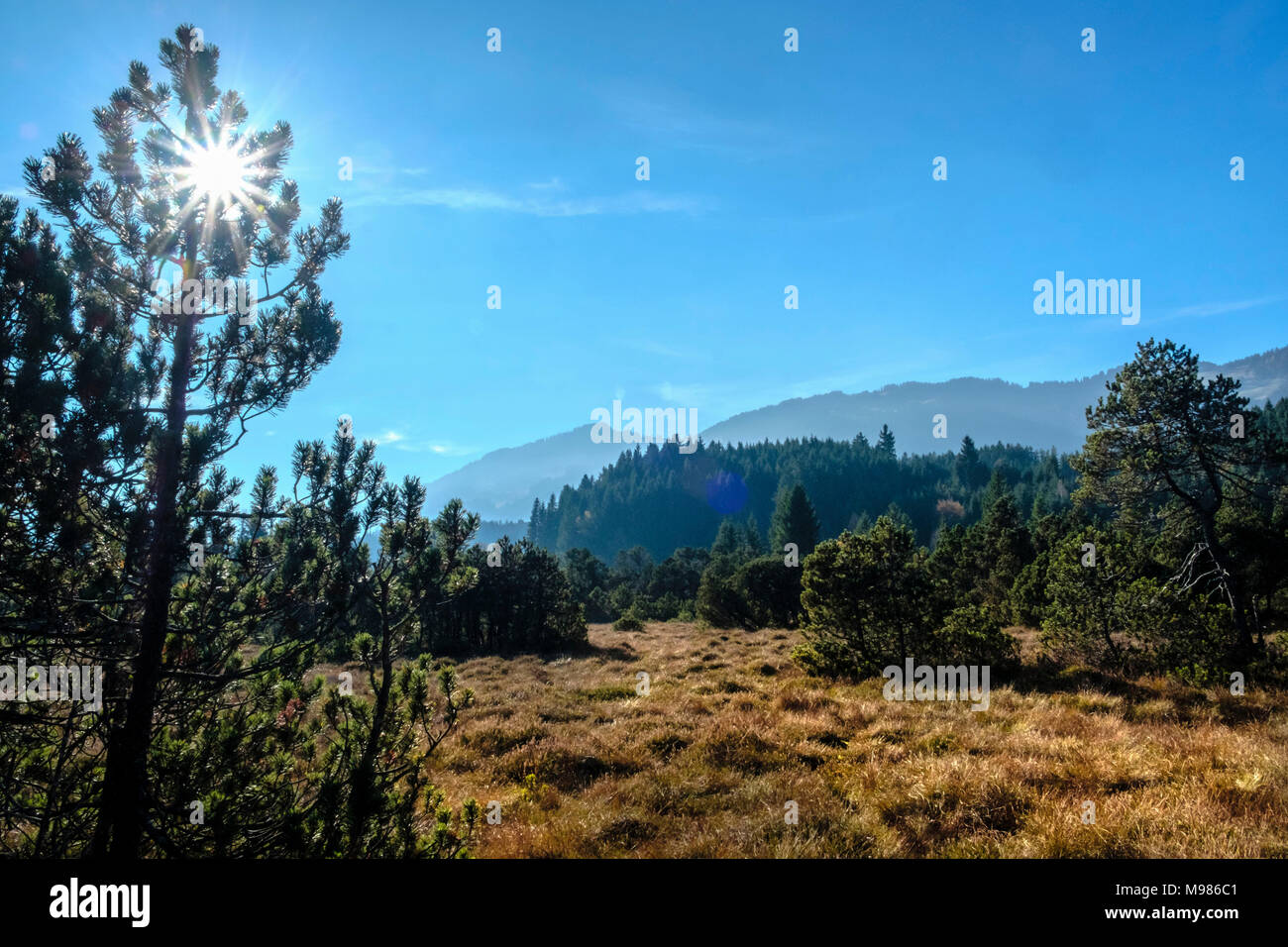 Germany, Bavaria, réserve naturelle des Alpes Haute Allgaeu Banque D'Images