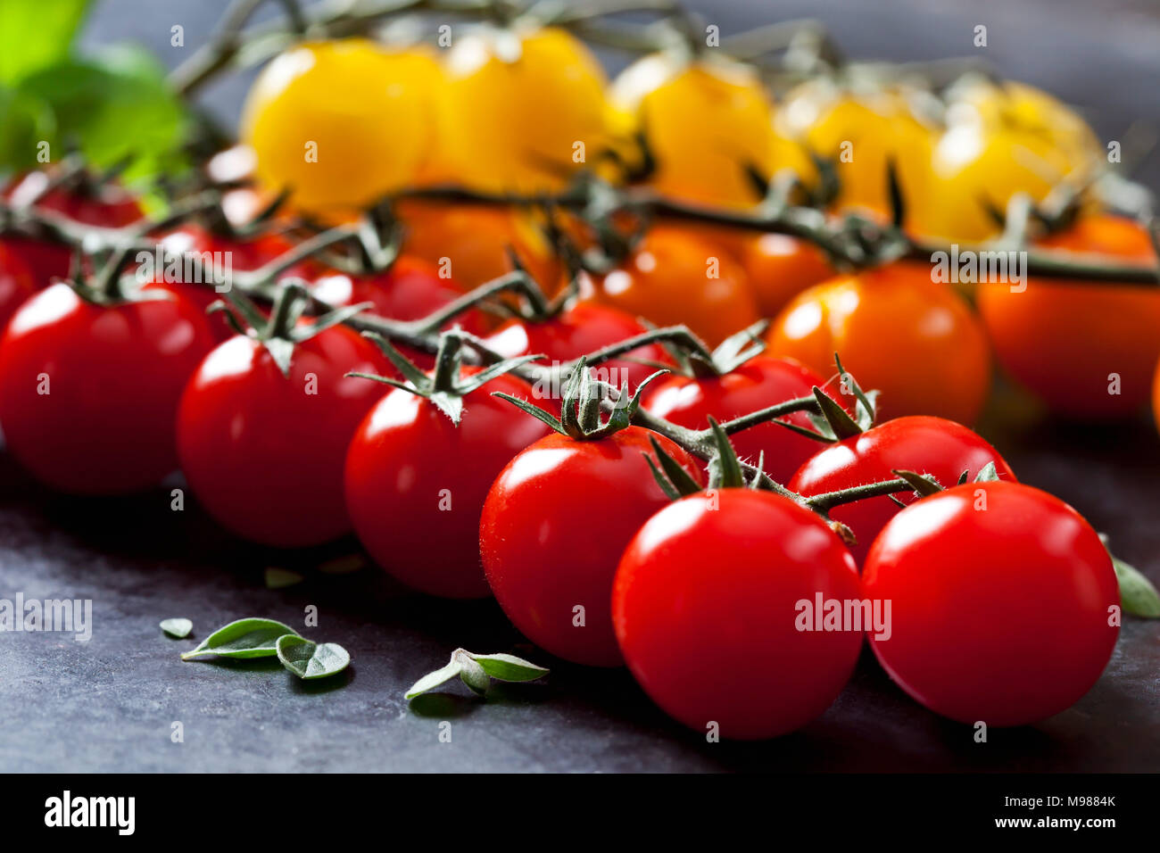 Tomates cerise, close-up Banque D'Images
