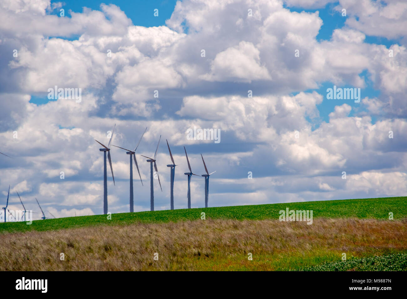 Les producteurs d'électricité éolienne au sommet d'une colline. Situé dans l'Est de l'Oregon. Banque D'Images