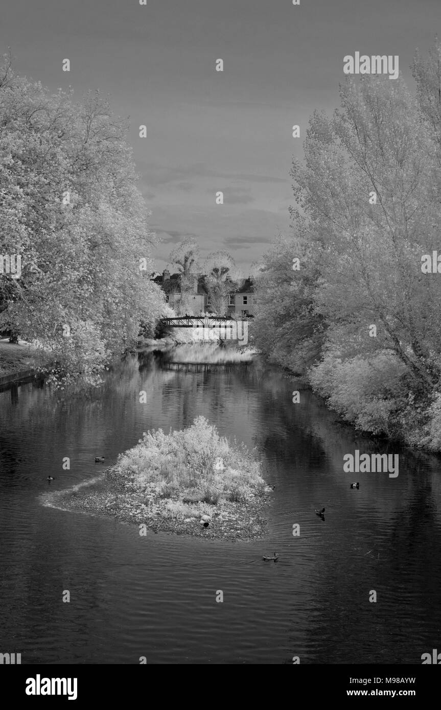 Une vue infrarouge d'automne le long de la rivière Tone Weir en français Weir Park dans le centre de Taunton, Somerset, UK. Banque D'Images