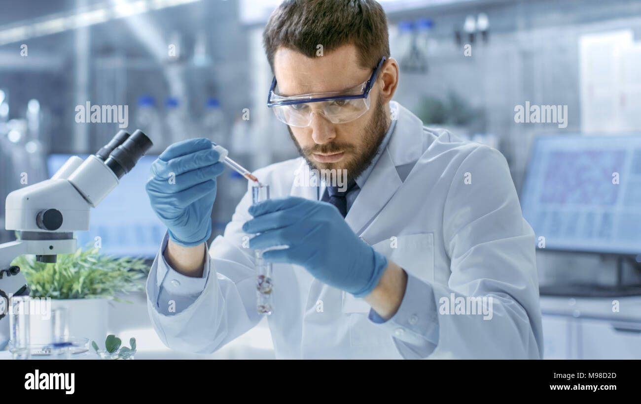 Biologiste dans un laboratoire moderne mène des expériences par la synthèse de composés avec l'utilisation de compte-gouttes et plante dans un tube à essai. Banque D'Images