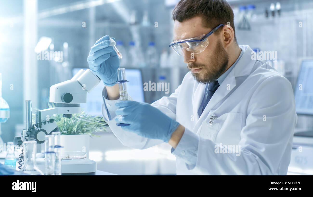 Dans un laboratoire moderne scientifique effectue des expériences par la synthèse de composés avec l'utilisation de compte-gouttes et plante dans un tube à essai. Banque D'Images