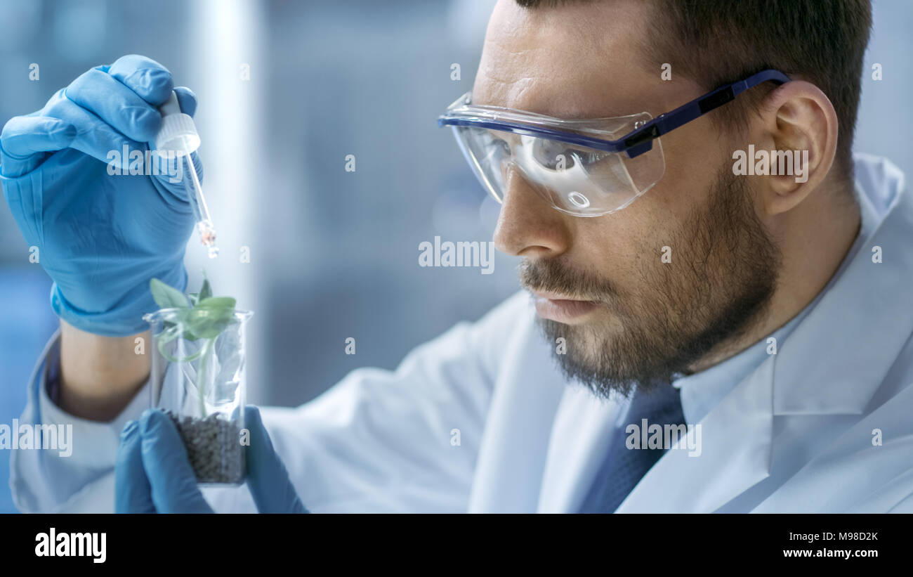 Dans un laboratoire moderne de l'alimentation scientifique effectue des expériences par la synthèse de composés avec l'utilisation de compte-gouttes et plante dans un tube à essai. Banque D'Images