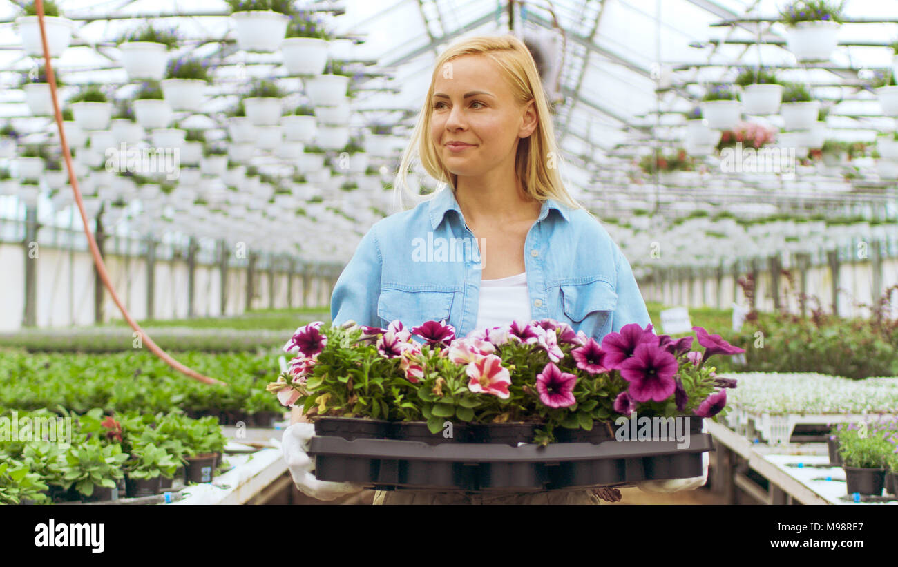 Les femmes qui travaillent dur tient fort avec des fleurs jardinier. Heureusement, elle travaille sous le soleil les émissions industrielles. Diverses plantes qui poussent autour d'elle. Banque D'Images
