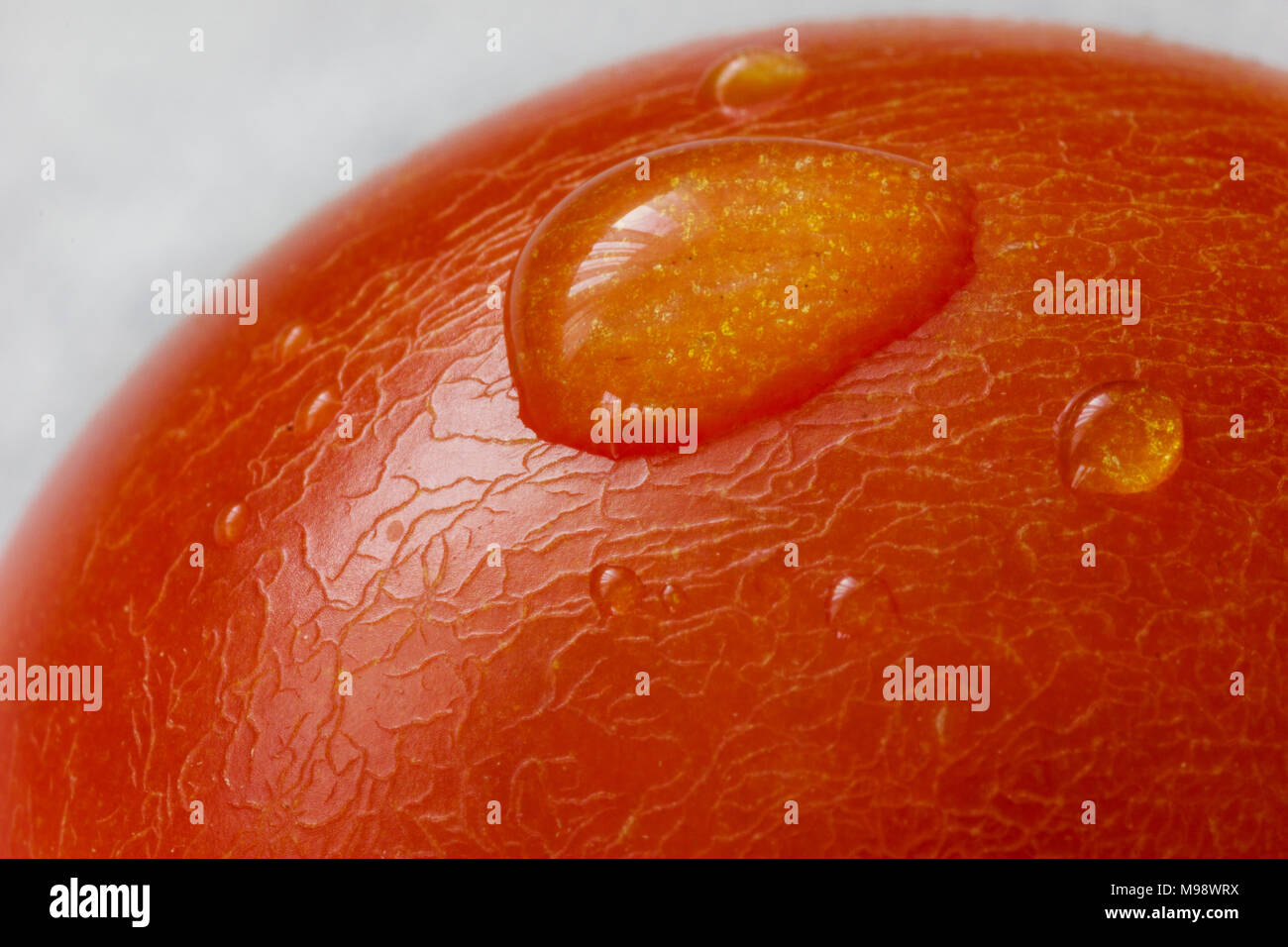 Close up de tomate rouge clair avec goutte sur elle Banque D'Images