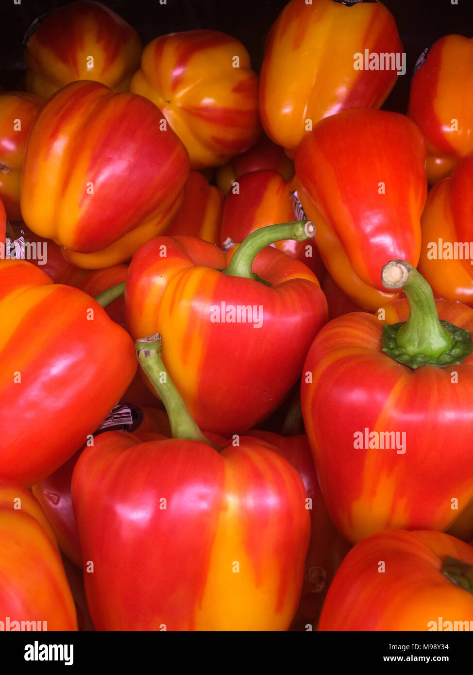 Rayé jaune et rouge poivrons doux fond vertical Banque D'Images