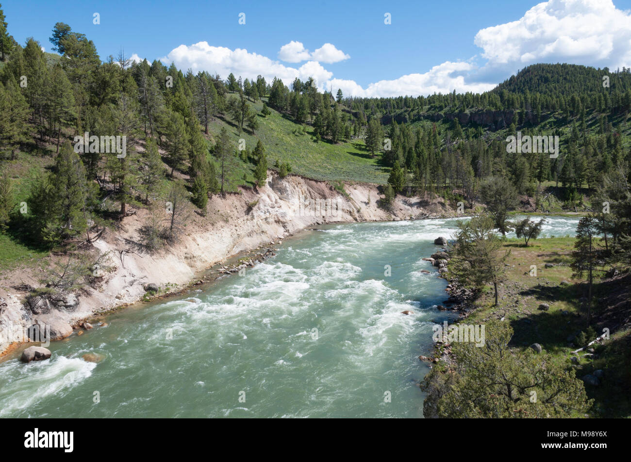 Eaux déchaînées de la rivière Yellowstone dans le Wyoming Banque D'Images