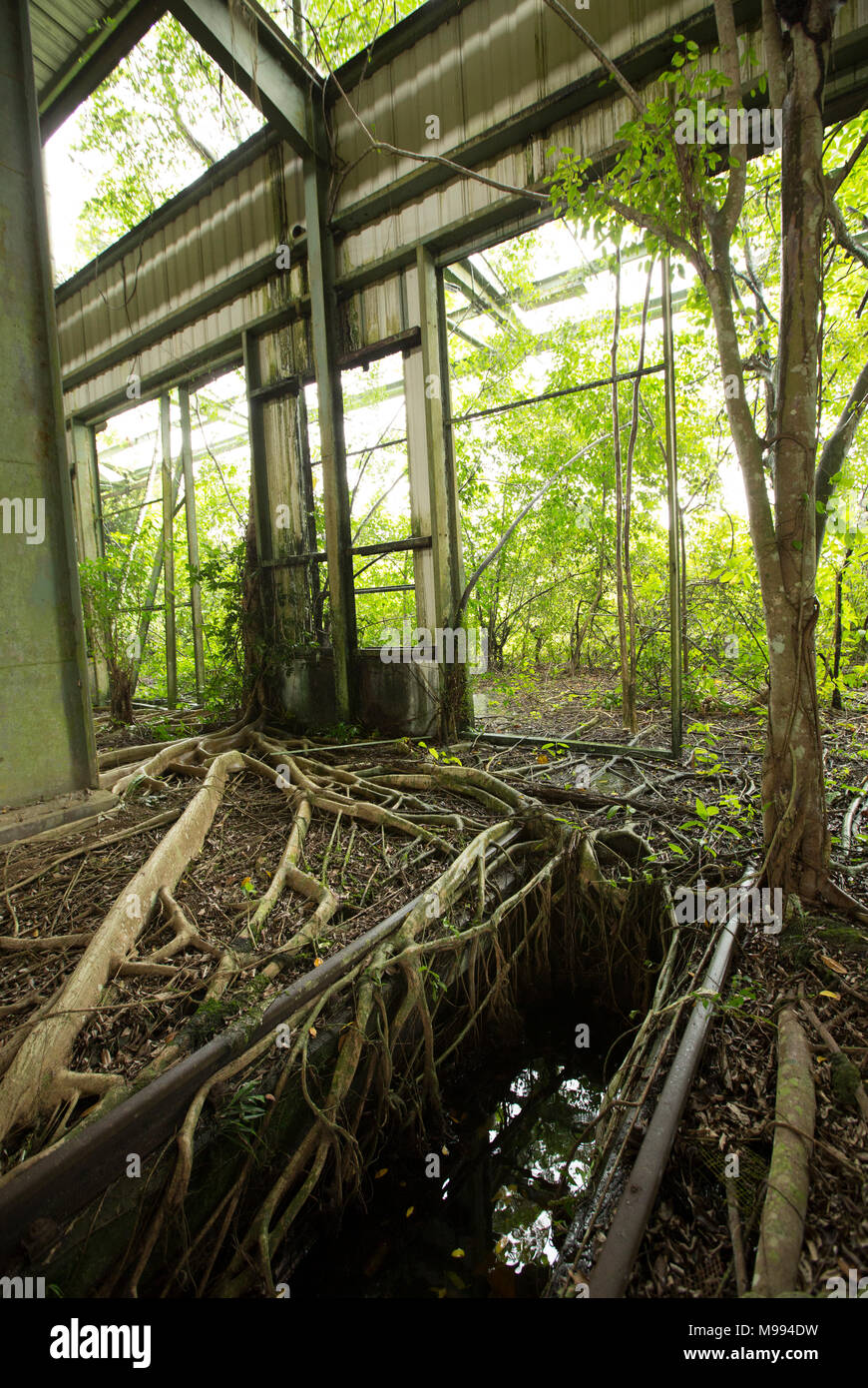 Apoera gare au Suriname, près de la rivière qui Courantayne a été abandonnée après l'intention de l'utiliser pour aller de la bauxite ont été interrompus Banque D'Images