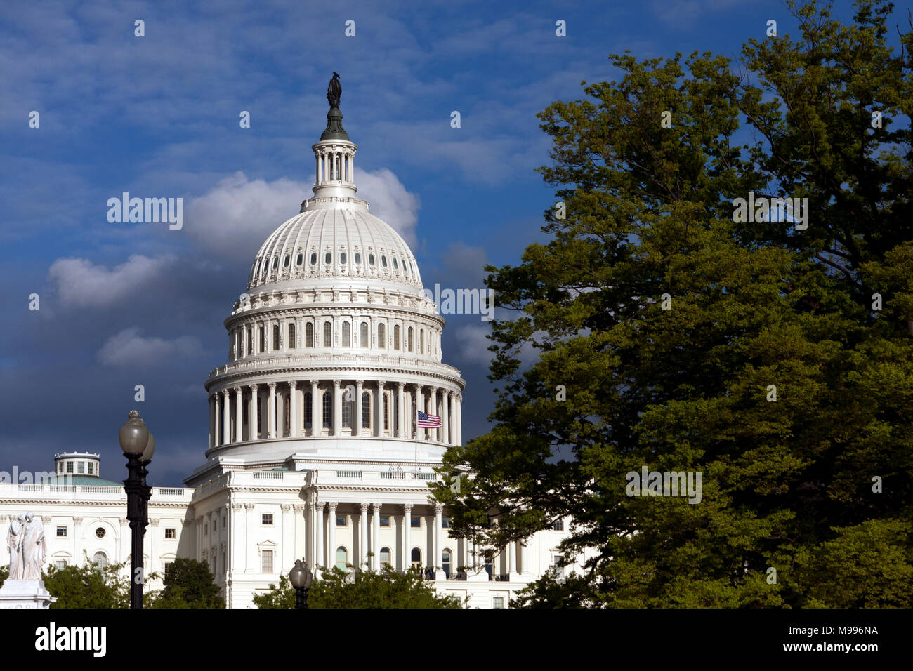 Du Capitole des États-Unis à Washington, D.C. Banque D'Images