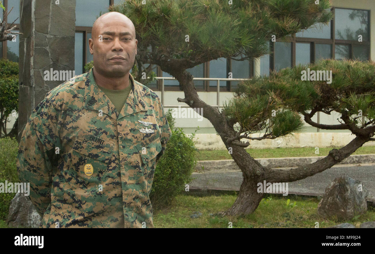 Chef principal de commande Curtis Blunt, 1ère aile d'avion Marine, 30 ans, est un vétéran de la Marine américaine. Blunt est titulaire d'un poste en 1ère MAW qui lui permet de largement influencer l'marins et Marines sous lui. 'Ce que j'aime plus que tout, c'est Je sais que je peut avoir un impact positif sur la vie des gens," dit émoussé. Blunt est originaire de Chickasha, Oklahoma. Banque D'Images