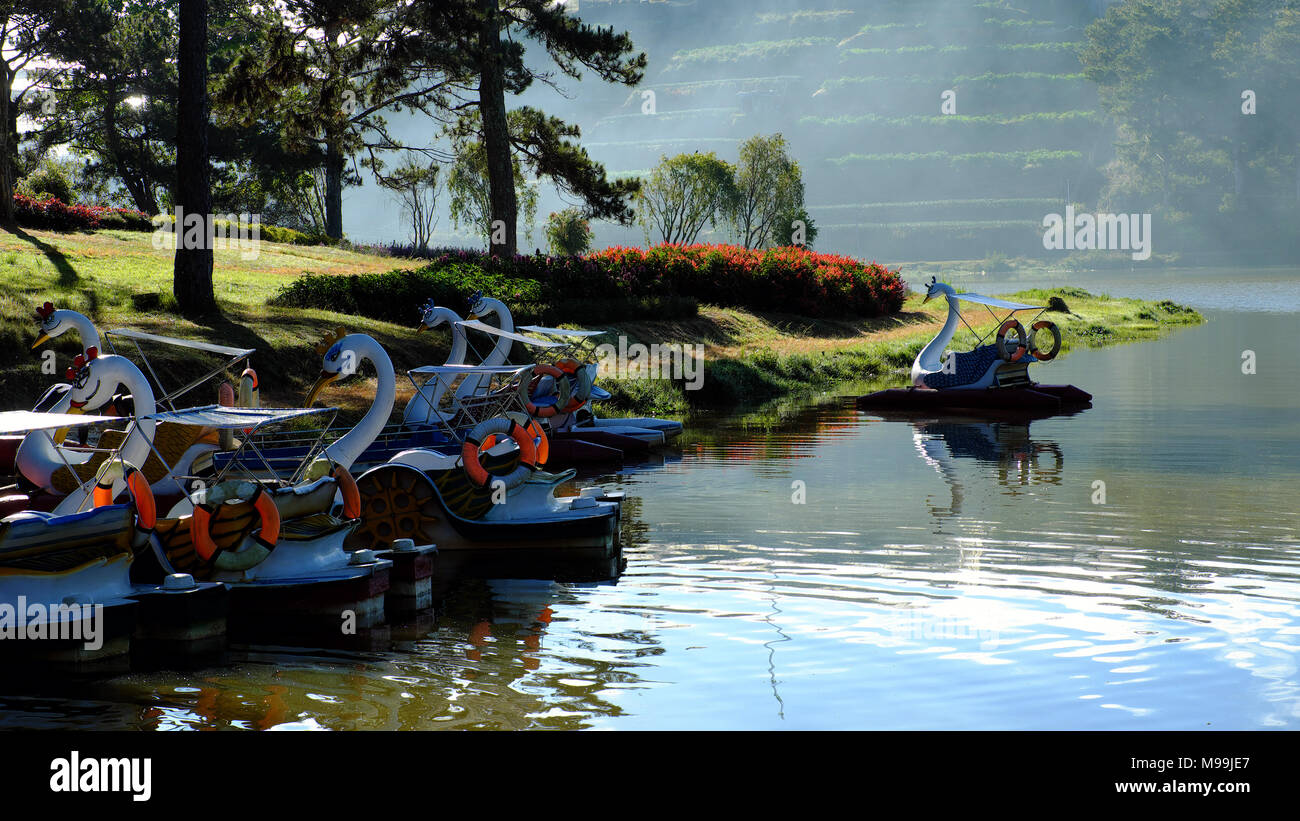 Groupe de bateau de canard, les transports routiers et vous détendre sur l'eau pour le tourisme, de réfléchir sur l'eau, à destination de voyage Da Lat, Viet Nam, le lac dans une forêt de pins Banque D'Images