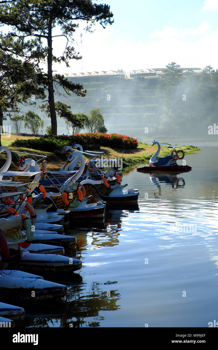 Groupe de bateau de canard, les transports routiers et vous détendre sur l'eau pour le tourisme, de réfléchir sur l'eau, à destination de voyage Da Lat, Viet Nam, le lac dans une forêt de pins Banque D'Images