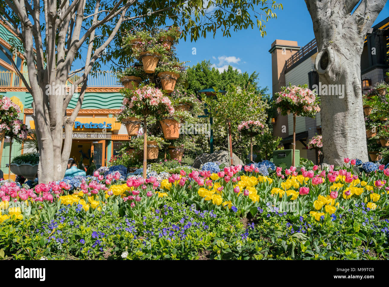 Los Angeles, 18 févr. : Beaux magasins dans Downtown Disney District le Feb 18, 2018 à Los Angeles Banque D'Images