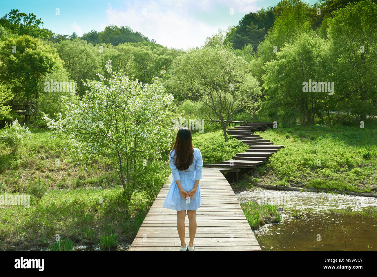 Belle vue sur la nature avec la femme en bleu jupe à regarder vers le ciel se rappelant des souvenirs du passé sur un pont qui passe au-dessus d'un petit étang. Banque D'Images