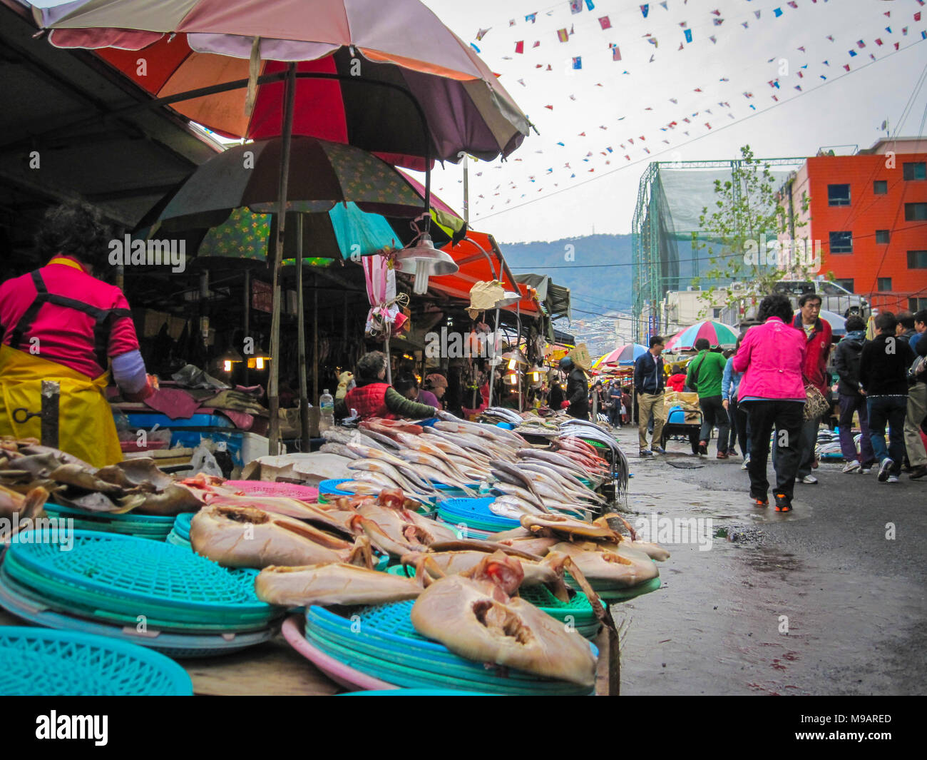 Busan, Corée du Sud. Octobre 2012 : Le marché aux poissons de Jagalchi est un représentant le marché aux poissons et une destination touristique à Busan. De nombreux touristes visitent Jag Banque D'Images