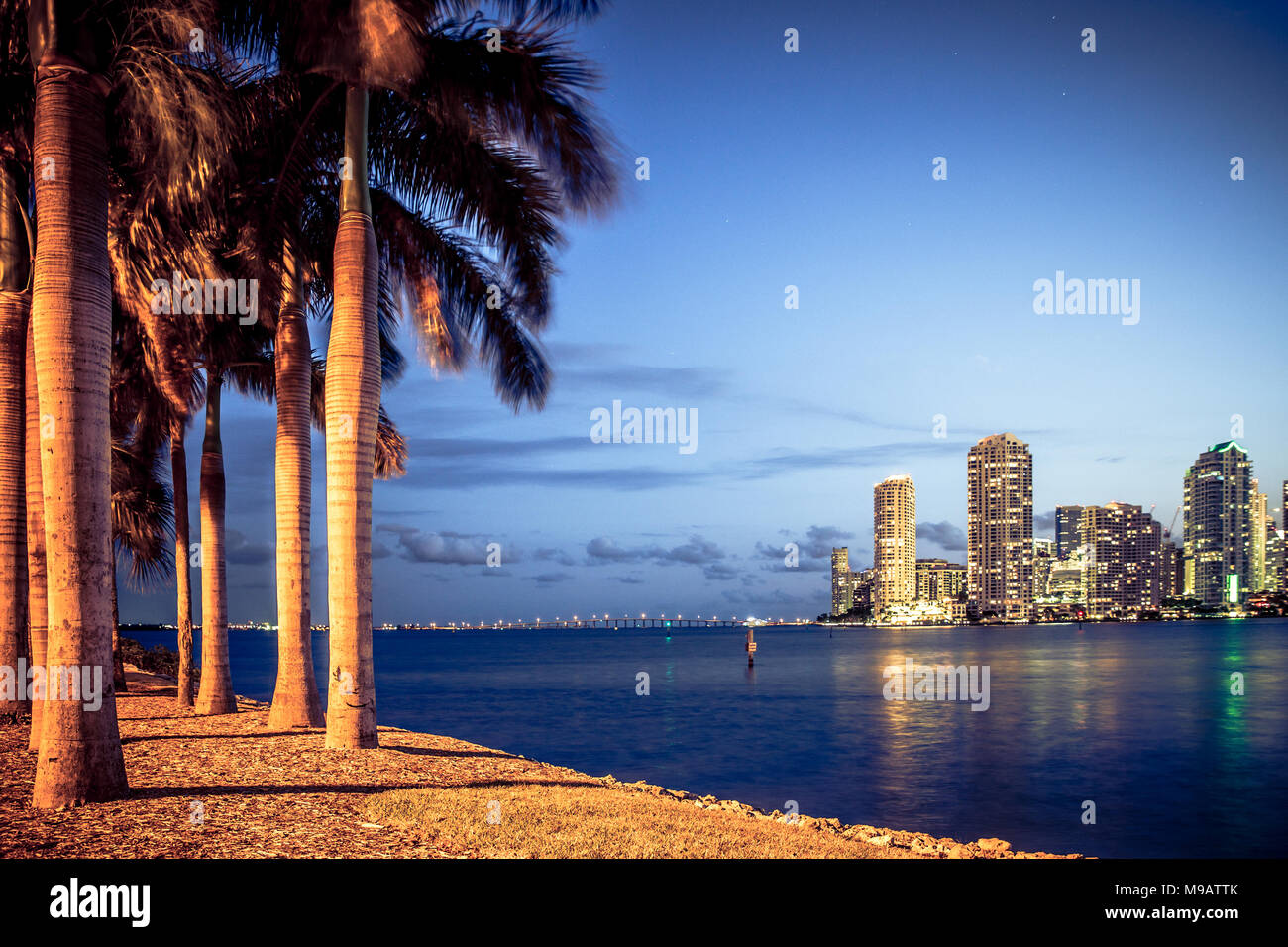 Miami Floride skyline vue à travers les palmiers Banque D'Images Miami Floride skyline vue à travers les palmiers Banque D'Images
